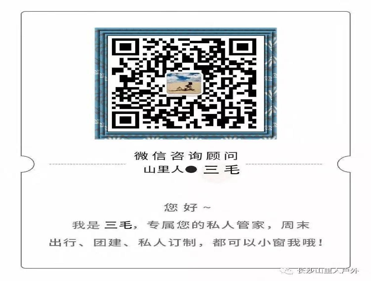 2954215400891932 14.webp.jpg